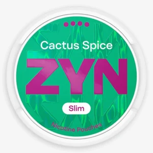 zyn pouches